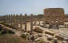 LeptisMagna8.jpg (284827 byte)