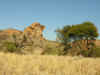 Mapungubwe4.jpg (131449 byte)