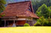 Shirakawa4.jpg (420045 byte)