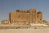 Palmira7.jpg (246382 byte)