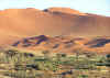 Namib3.jpg (352543 byte)