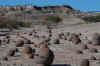 Ischigualasto2.jpg (272714 byte)