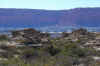 Ischigualasto5.jpg (274317 byte)