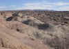 Ischigualasto8.jpg (305643 byte)