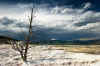 Yellowstone12.jpg (267238 byte)